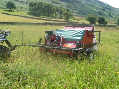 Neutral Hay Meadow Seed Mix 