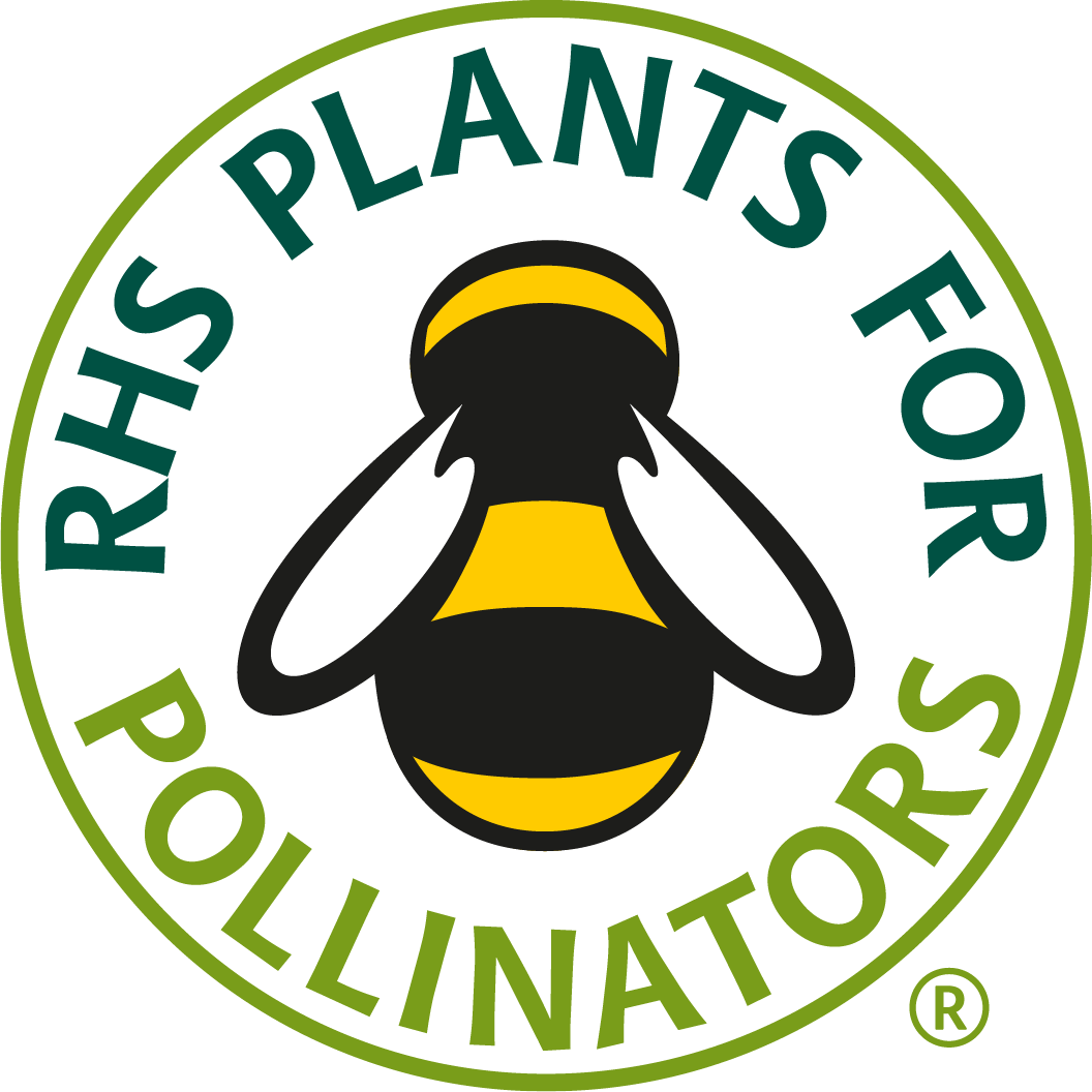 Pollinators 40 Plug Plant Mix