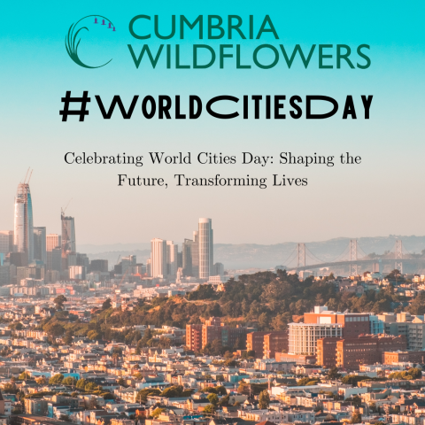 world cities day