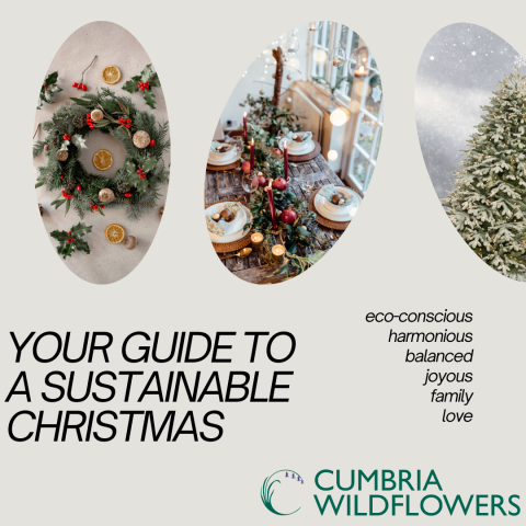 guide to a sustainable and greener Christmas