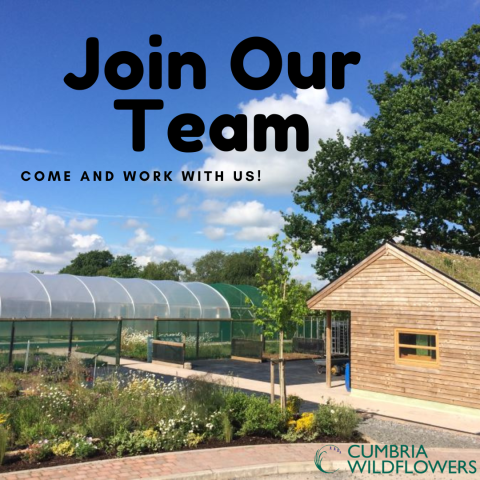 join-our-wildflower-team